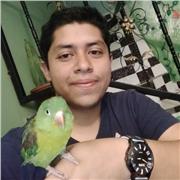 Profesor de diferentes áreas del saber ciencias y matemáticas
